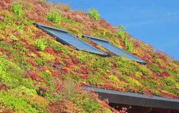 South Wonston living roof systems